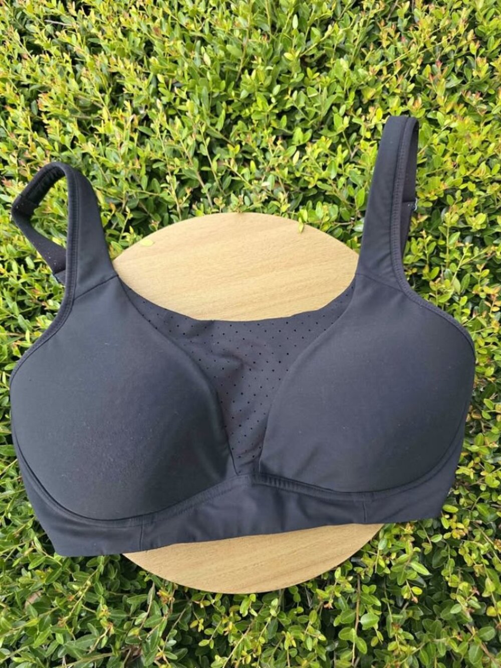 Lululemon Enlite Front-Zip High Support Sports Bra 34D